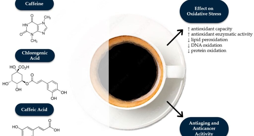 Coffee Has Antioxidant Properties And Anti-Inflammatory Effects