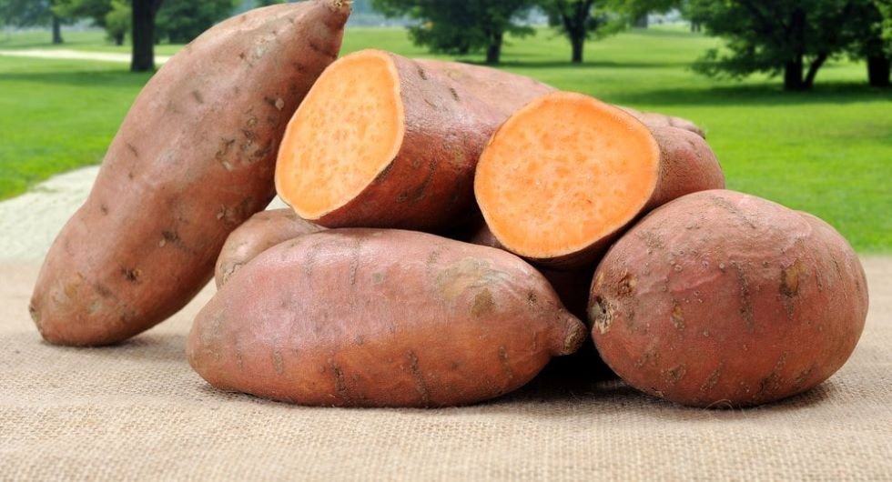 It Contains Antioxidant Properties