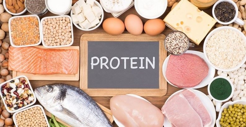 Protein