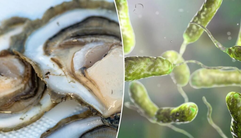 Diarrhetic Shellfish Poisoning