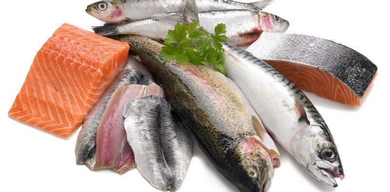 Fish and Seafood: A Shared Focus