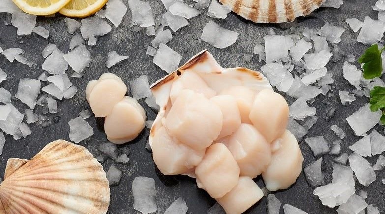 Fresh Vs. Frozen Scallops