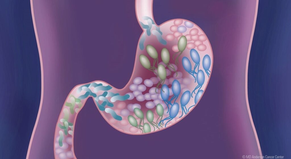 Healthier Gut Bacteria