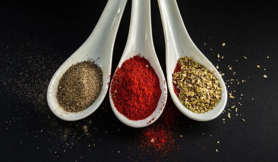 Can You Use Seasoning On Carnivore Diet