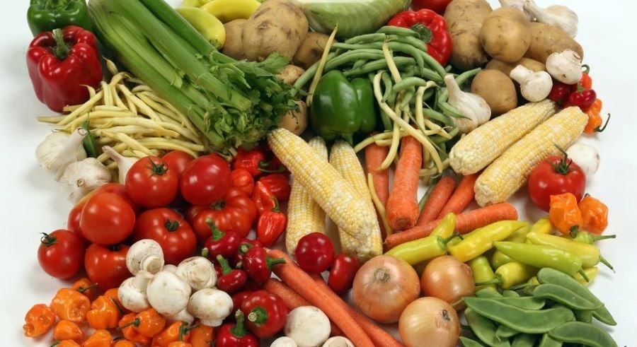 From Plant-Based To The Carnivore Diet