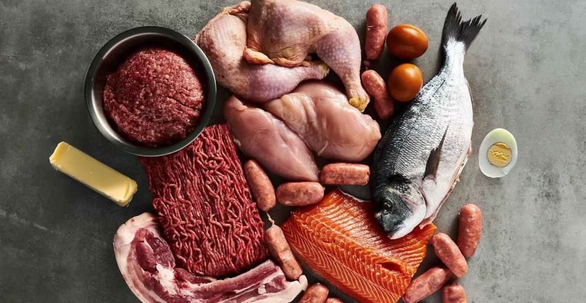 What Is Carnivore Diet