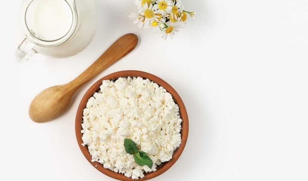 can you eat cottage cheese on carnivore diet