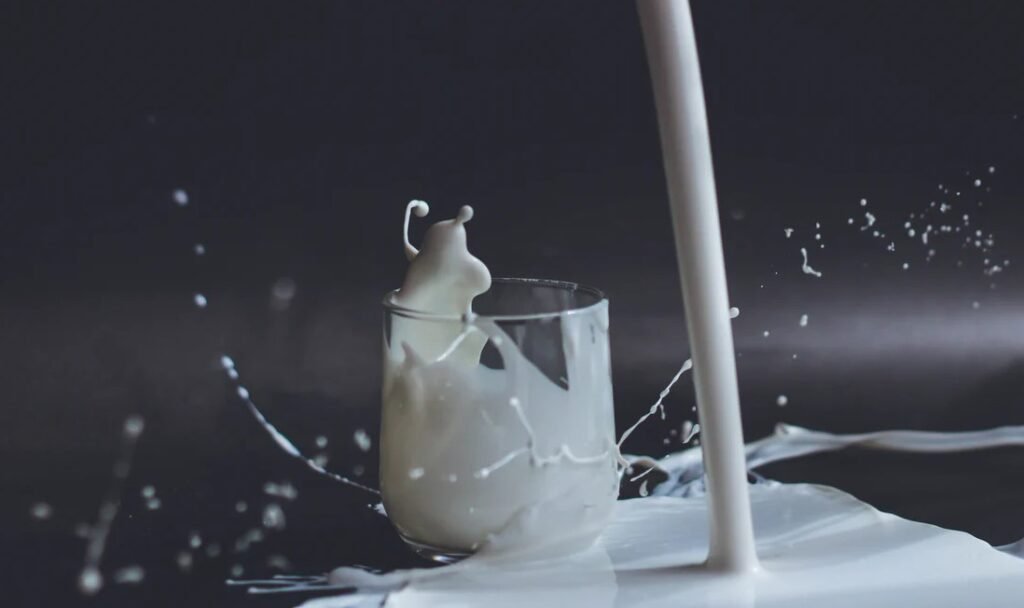 can you drink milk on carnivore diet