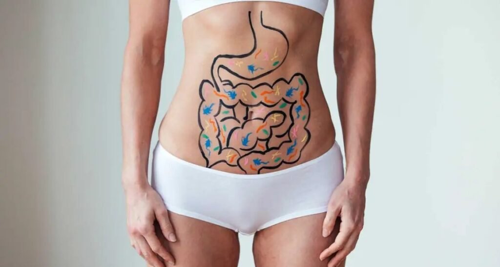 Loss of Fiber and Gut Bacteria Change