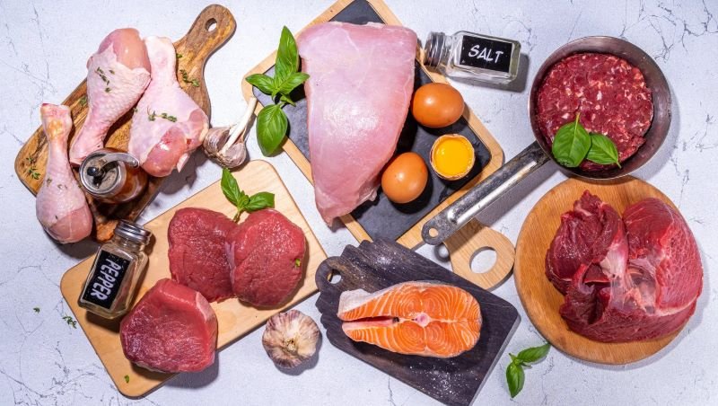 The Carnivore Diet