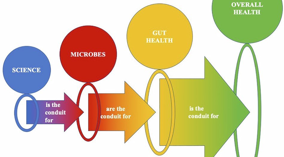 What Science Says About Gut Adaptation 