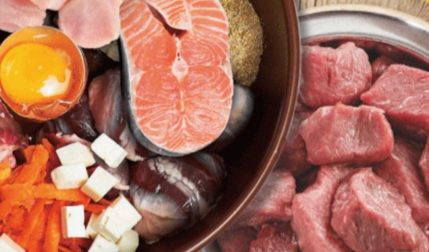 food sensitivities