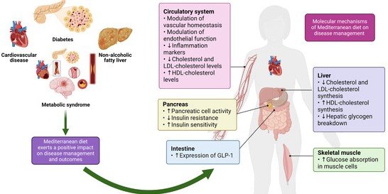 Mediterranean Diet Is The Most Powerful Cortisol-Lowering Diet In The World 